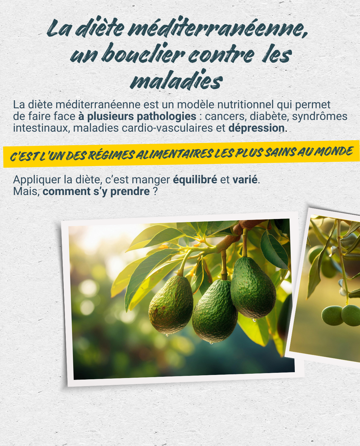 La diète méditerranéenne, un bouclier contre les maladies