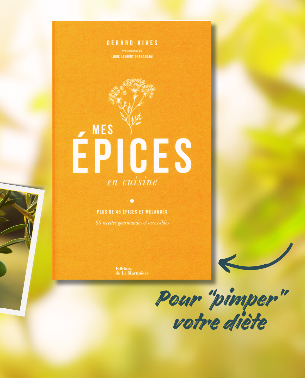 Gérard Vives - Mes épices en cuisine