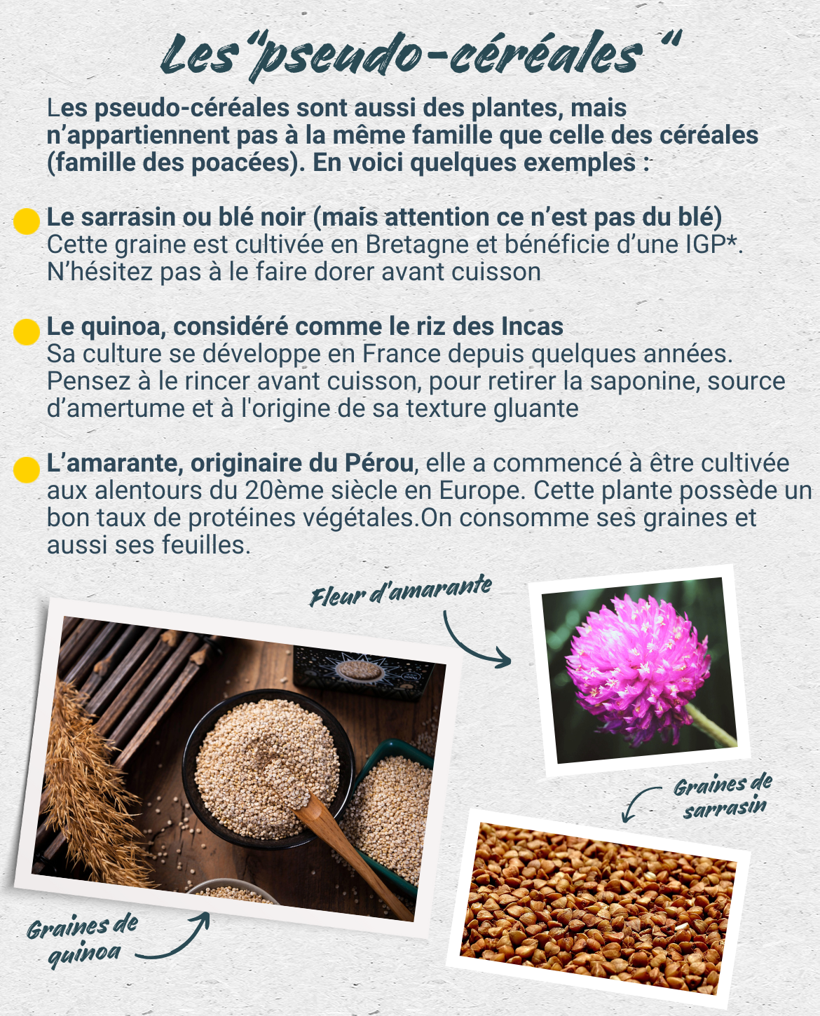 Les "pseudo-céréales"